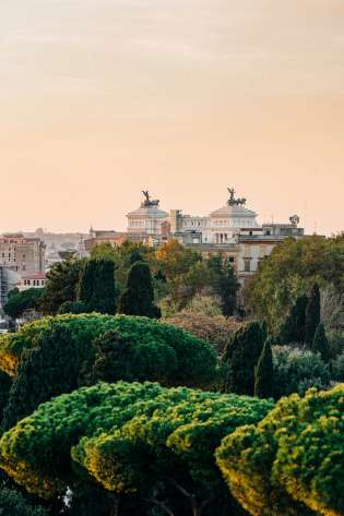 Trees and buildings in rome.