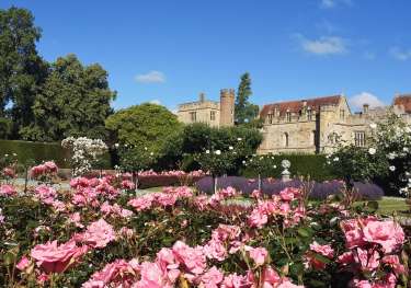 Rose garden penshurst place (1).