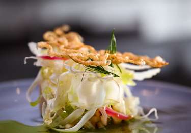 Scallop dish with green oil .