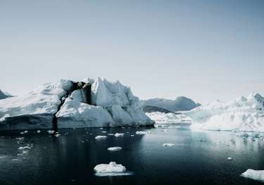 The arctic with icebergs .