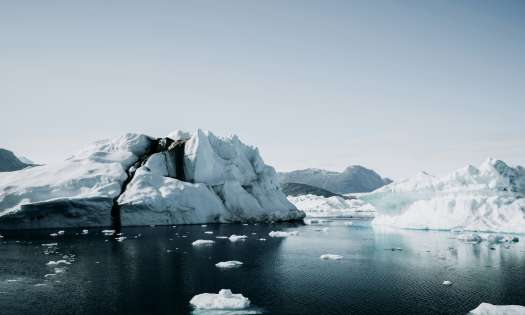 The arctic with icebergs .