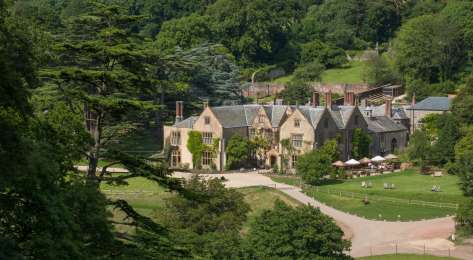 The pig  at combe external .