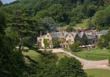 The pig  at combe external .
