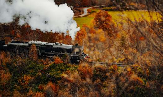 Train passing through autumn trees .