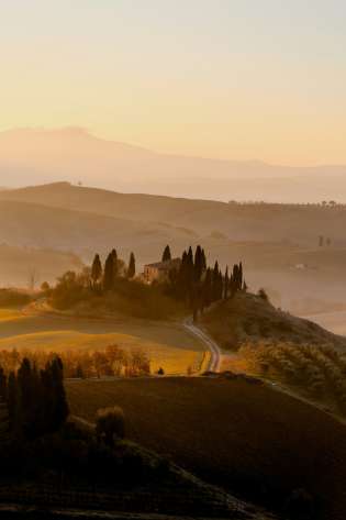 Rolling hills in tuscany during golden hour.