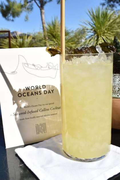 World ocean day cocktail.