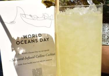 World ocean day cocktail.