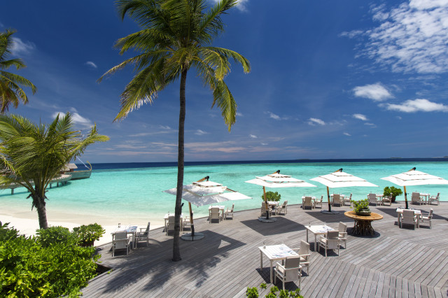 milaidhoo maldives ocean restaurant with wooden decking and palm trees