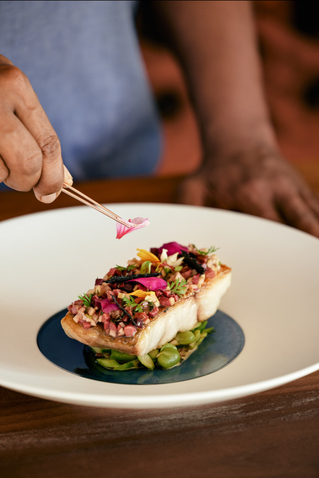 fish dish at hotel restaurant