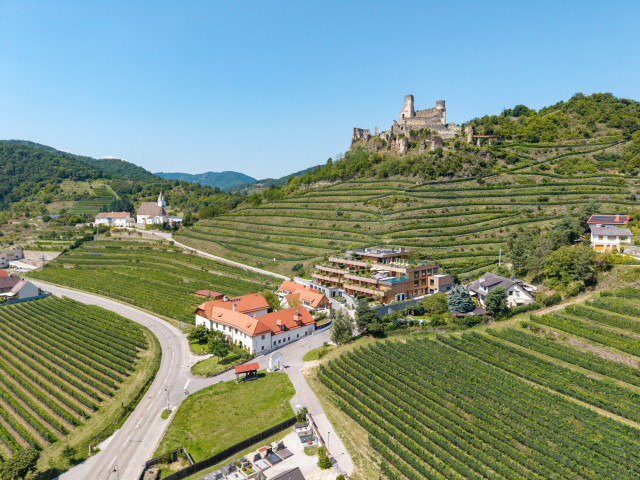 drone view of vineyard in austria