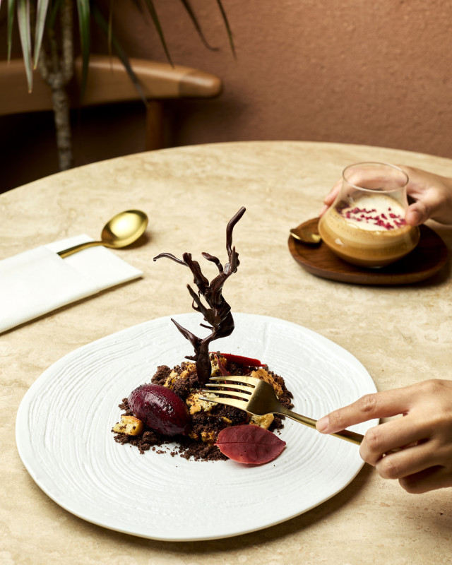person with plate of black forest dessert