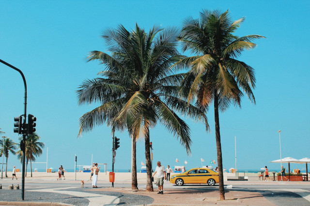 street view in rio de janeiro with palm trees