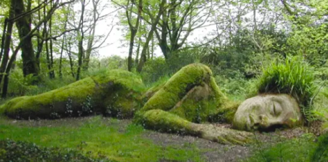 The Lost Gardens of Heligan, Cornwall