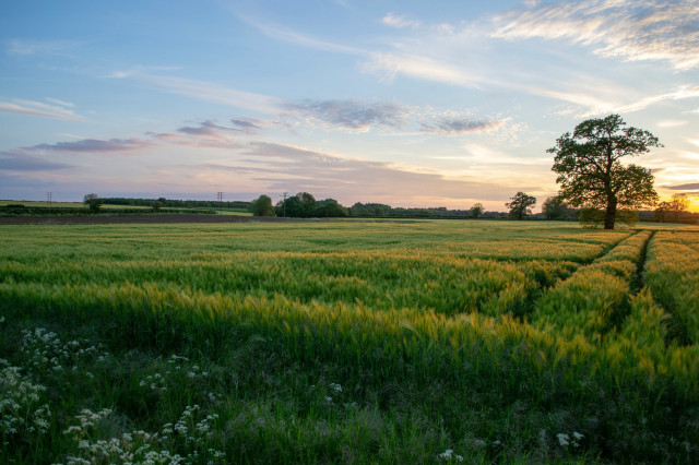 oxfordshire countryside