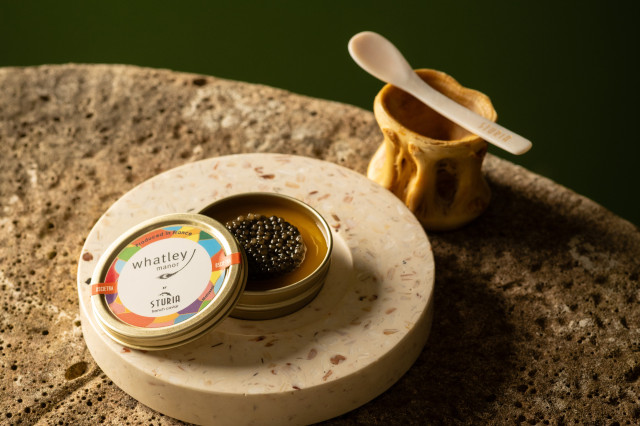 caviar dish at hotel restaurant 