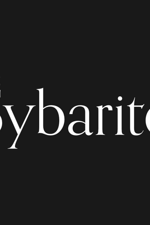 Portrait of The Sybarite Team