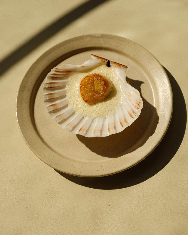 scallop dish served on plate in restaurant 