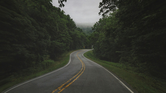 road in the ozarks