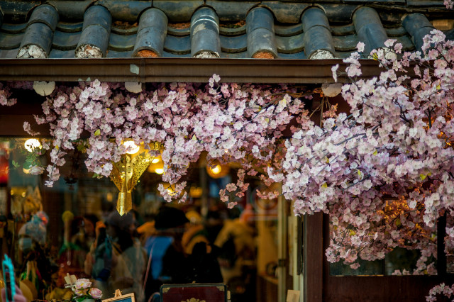 Blossom, Seoul