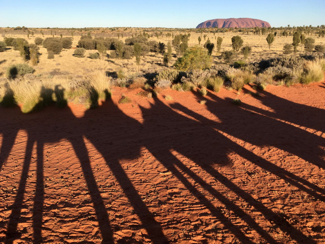 camel trekking near uluru