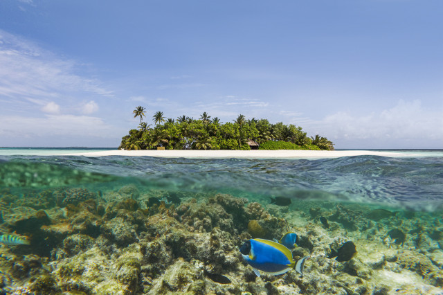 w maldives house reef 