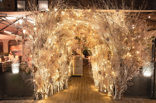 silver foliage display at kapara's winter garden