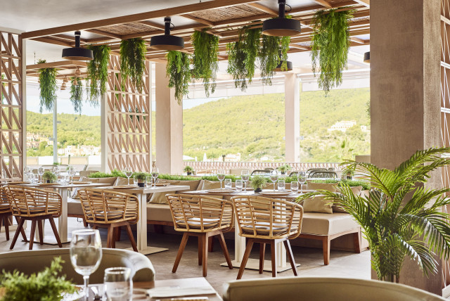 hotel restaurant with hanging plants
